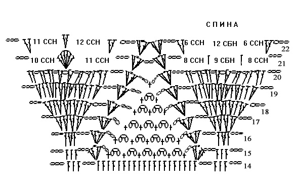 спина схема копия
