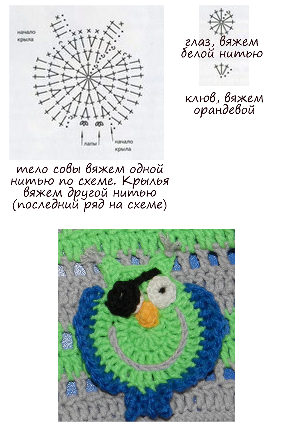 сова